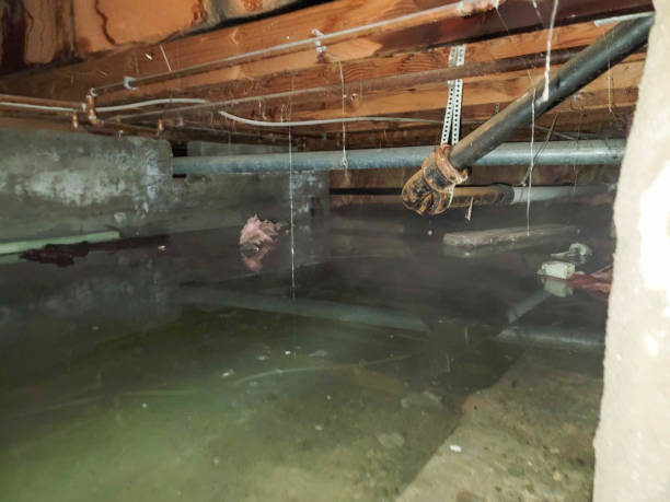 Water damage restoration experts in Pen Mar, PA
