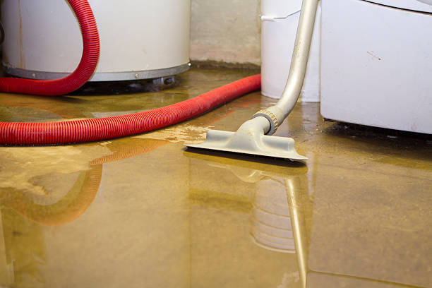 Best Sewage cleanup and water damage restoration  in Pen Mar, PA