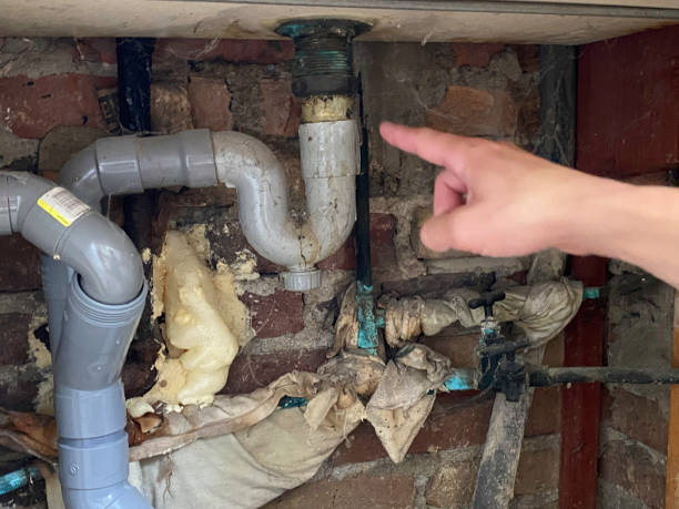 Best Professional water damage repair  in Pen Mar, PA