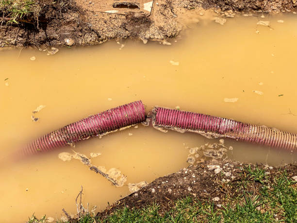 Professional Water damage restoration in Pen Mar, PA